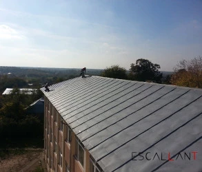 vopsire tabla acoperis